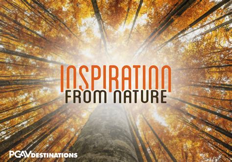 Destination Design Firm Publishes ‘Inspiration from Nature’ | PGAV