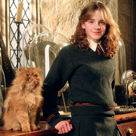 Which pet would you choose? #HarryPotter | Acteurs harry potter, Le prisonnier d'azkaban, Actrice