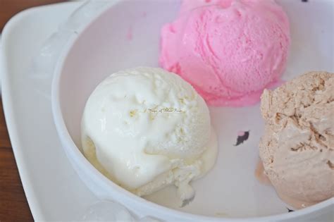 Best Homemade Ice Cream Flavors | Southern Homemade Ice Cream