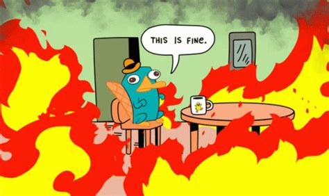 This Is Fine This Is Fine Meme GIF – This Is Fine This Is Fine Meme Perry The Platypus – GIFs ...