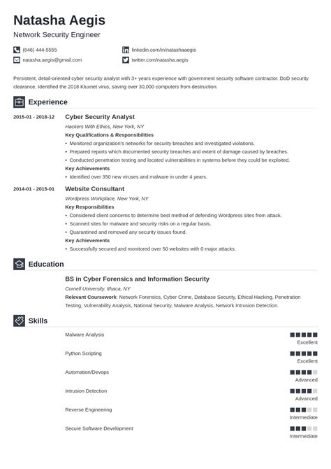 Cyber Security Resume Keywords - C Level Resume Chief Information Security Officer Ciso Resume ...
