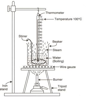 Draw a labelled diagram of the experimental setup to study the latent ...