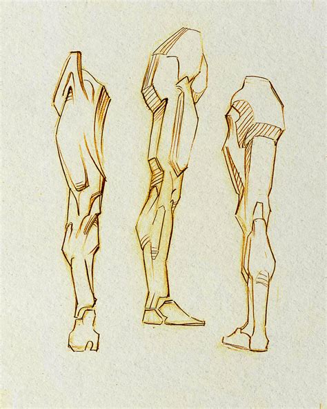 Leg anatomy study by keantheghost on DeviantArt