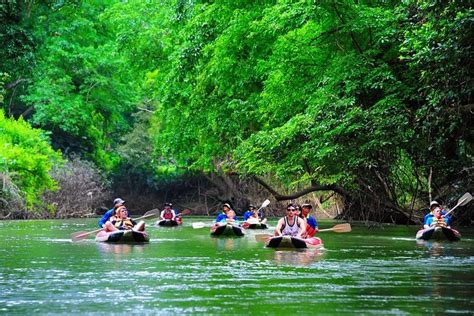 Khao Sok National Park and Canoe Excursion from Phuket 2024