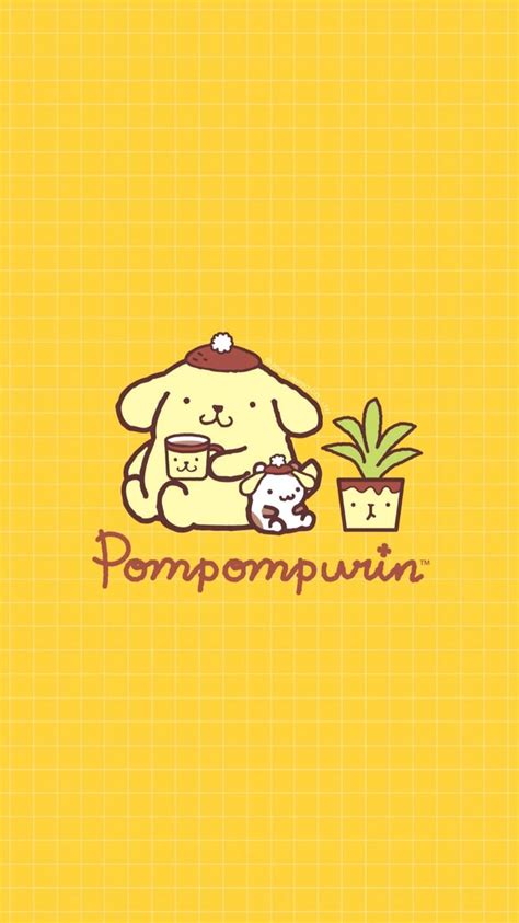 purin wallpapers in 2023 | Sanrio hello kitty, Kitty, Sanrio