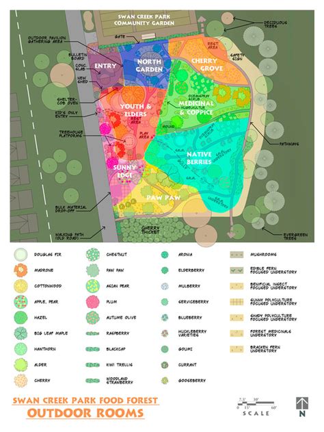 Food Forest Design - Swan Creek Park Food Forest