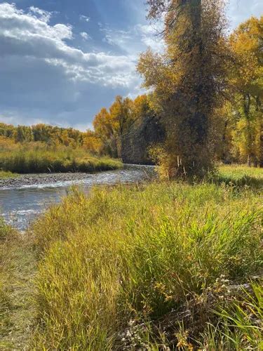 10 Best Trails and Hikes in Gunnison | AllTrails