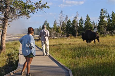 File:Old Faithful Basin, Yellowstone National Park (7742962212).jpg ...