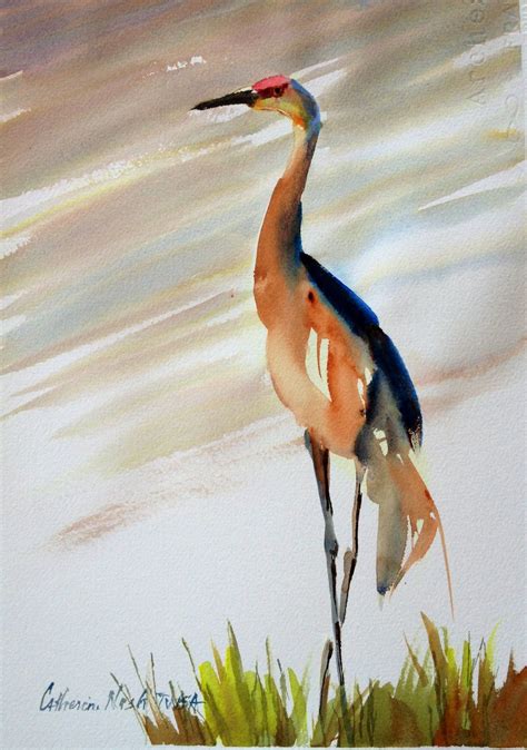 Sandhills Crane | Watercolor bird, Animal paintings, Art painting