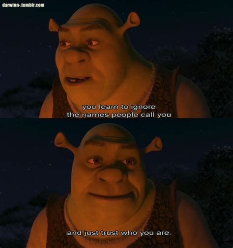 Famous Shrek Quotes