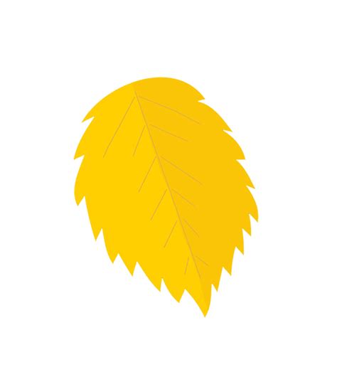 Clipart leaf yellow birch, Clipart leaf yellow birch Transparent FREE for download on ...