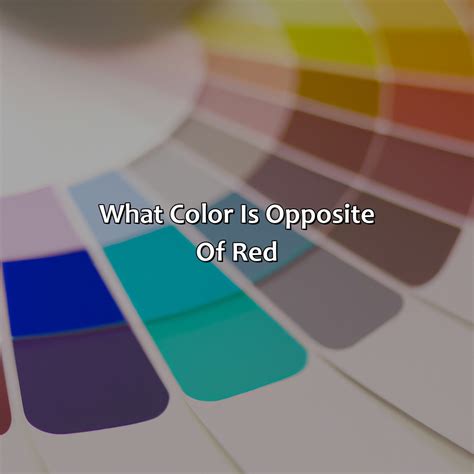 What Color Is Opposite Of Red - colorscombo.com