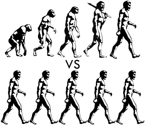 So What Really is Evolution? - ChrisHart.com