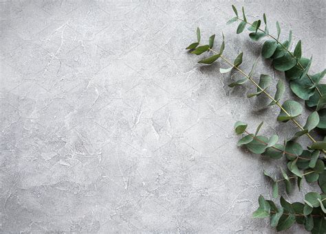 Eucalyptus branches on a concrete ba featuring eucalyptus, background, and | High-Quality Nature ...