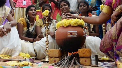 Happy Pongal 2021: Wishes, Messages, Quotes, Greetings, Images ...