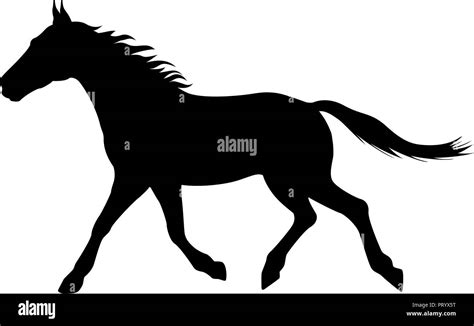 Vector illustration silhouette of a running horse Stock Vector Image ...