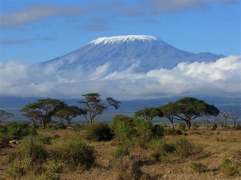 The path less trodden – Alternative routes up Mount Kilimanjaro - Travel Blog For Grown-up ...