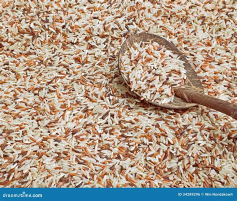 Organic rice stock photo. Image of food, background, organic - 34289296