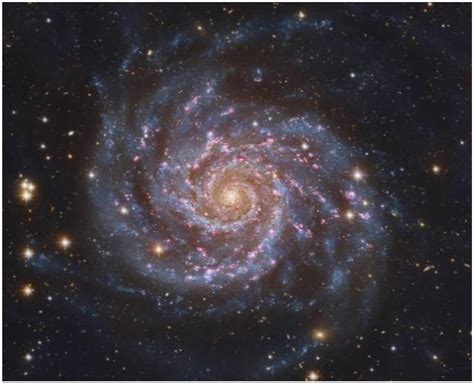 Discovering Rare Red Spiral Galaxy Population from Early Universe with ...