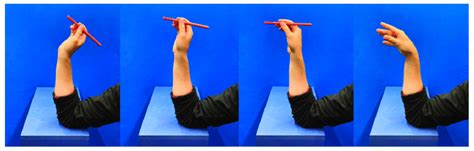 Sequence of the dart-throwing motion task. | Download Scientific Diagram