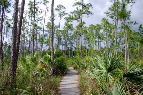 Everglades National Park hiking trails - Right Kind Of Lost