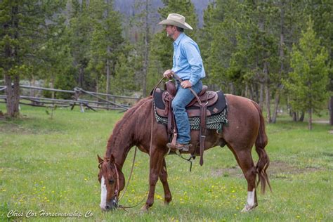 Total Feeds Insider: Chris Cox Horsemanship Company - Cowboy Lifestyle ...