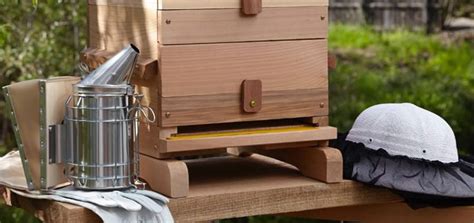 Essential Beekeeping Equipment for Managing a Hive | BeehiveHero