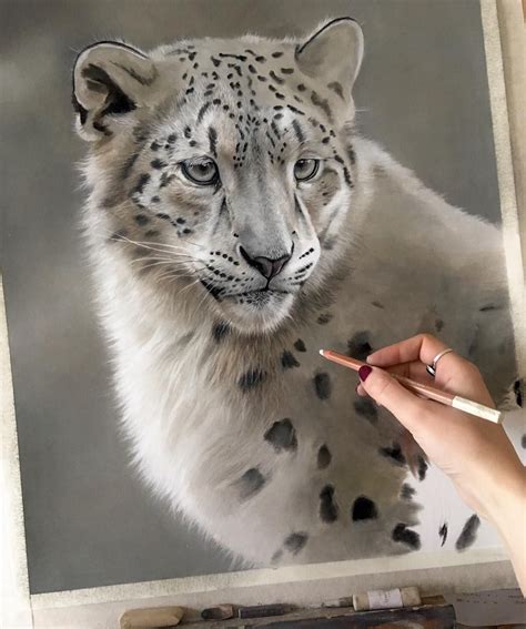 Progress on the young snow leopard. I am using a combination of soft pastels, pan pastels and ...