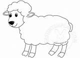 Sheep Coloring Lamb Drawing Kids Clipart Drawings Outline Pages Zone  sketch template