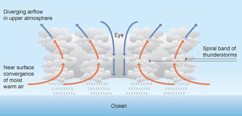 19 Hurricanes ideas | hurricane, how do hurricanes form, tropical storm