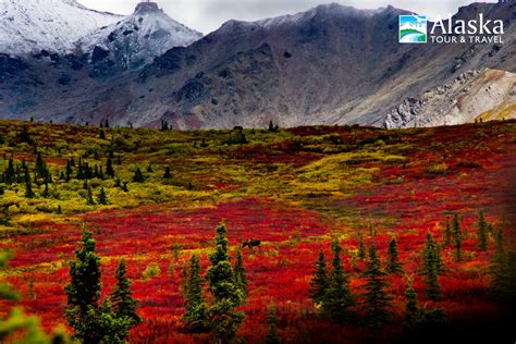 7 Reasons You’ll Love Fall in Alaska | AlaskaTravel.com