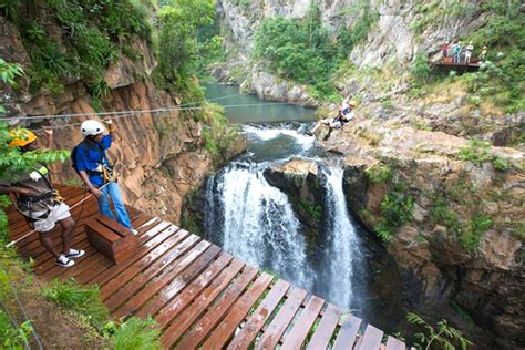 About Magoebaskloof Canopy Tour in Magoebaskloof