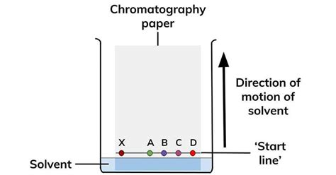 Chromatography Diagram Labeled