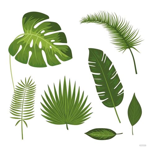 Tropical Leaves Vector in SVG, Illustrator, JPG, EPS, PNG - Download | Template.net