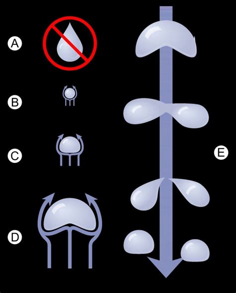 What Is The Shape Of A Raindrop? » ScienceABC