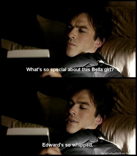 Funny Damon Quotes Vampire Diaries. QuotesGram