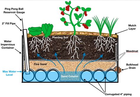 wicking beds permaculture - Google Search | Wicking beds, Bedding plants, Soil layers