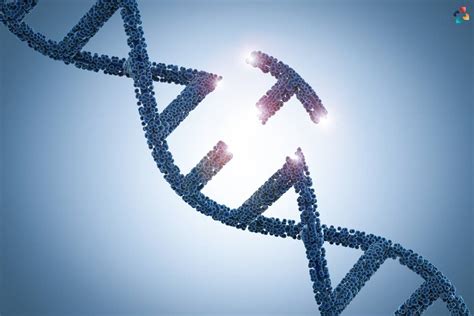 12 Bizarre Examples Of Genetic Engineering | The Lifesciences Magazine