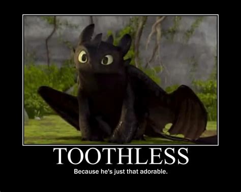 Toothless Dragon Quotes. QuotesGram