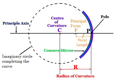 Difference between radius of curvature and princip - Tutorix