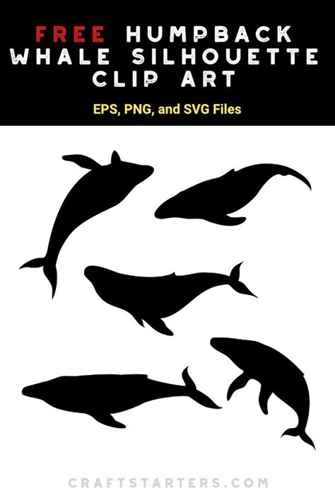 Free Humpback Whale Silhouette Clip Art | Whale silhouette, Silhouette ...