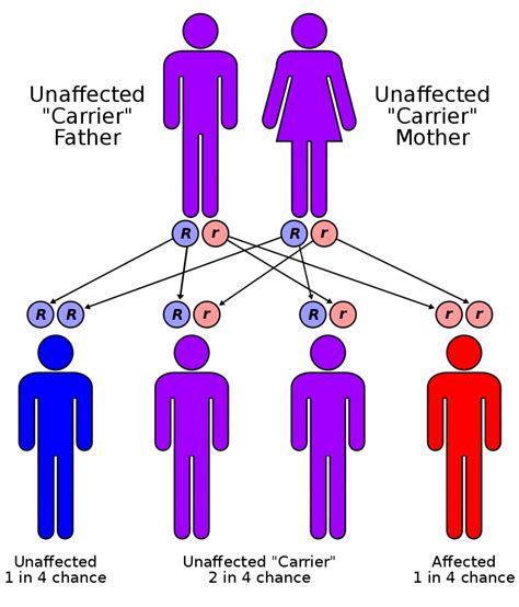 Cystic Fibrosis_CF