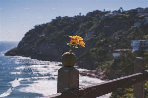 Sunflowers and tropical beach resort | Nature Stock Photos ~ Creative ...