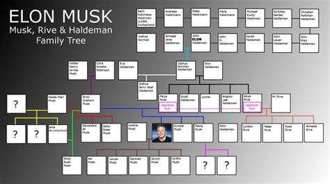 Elon Musk Family Tree : r/elonmusk