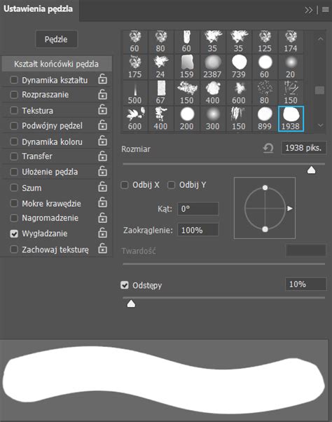 Brush settings - Adobe Community - 13221919