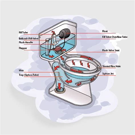 9 Different Types of Toilet Flush Systems - ToiletsGuide