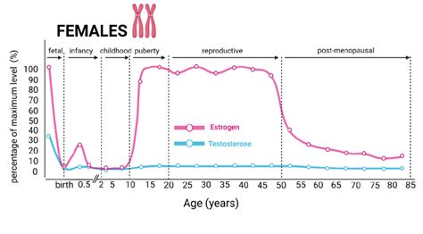 Approximate testosterone and estradiol levels in the plasma of men and... | Download Scientific ...