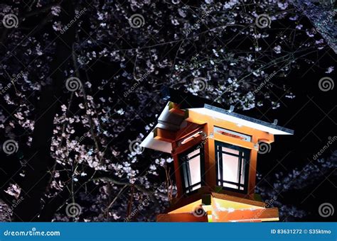 Cherry Blossom at Night, Osaka Japan Stock Photo - Image of light ...