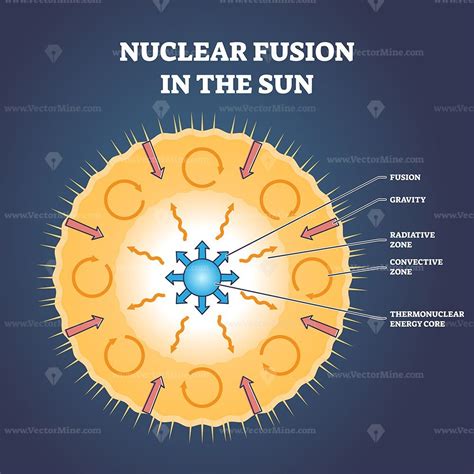 Nuclear fusion in the sun and star structure with zones outline diagram - VectorMine