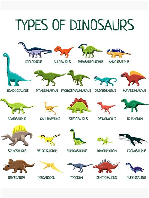 "Kids Types Of Dinosaurs Dino Identification" Poster for Sale by HugheDemeyer | Redbubble